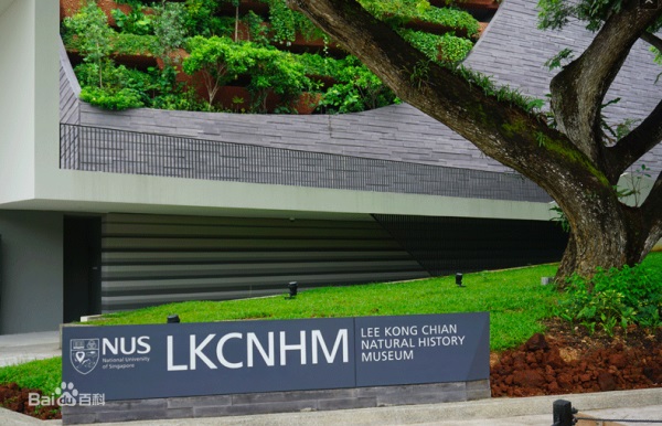 新加坡国立大学研究生留学
