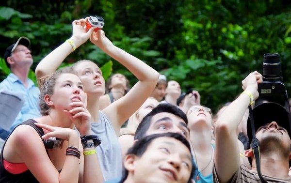 新加坡国立大学有哪些专业最值得读？避坑指南