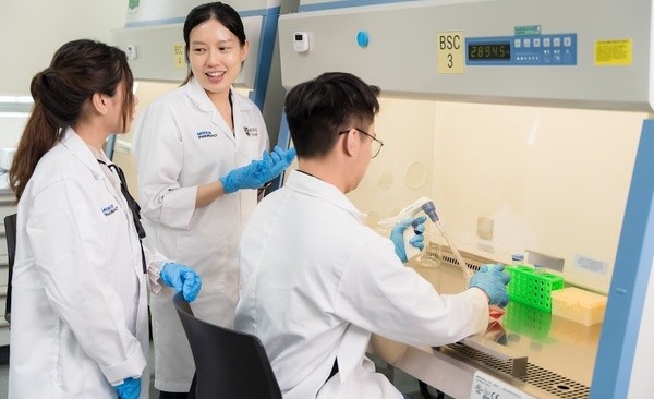 新加坡国立大学法学排名解析，法律专业真实水平