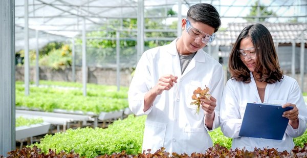 新加坡国立大学开学日期与学期安排,新生必读指南