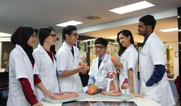 新加坡国立大学专业全汇总，热门与冷门一次看清