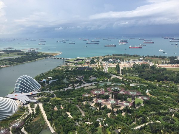新加坡国立大学接受录取后入学前核对清单